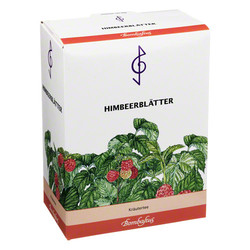 HIMBEERBLTTER TEE