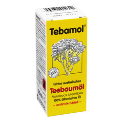 TEEBAUM L