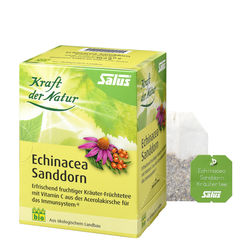 ECHINACEA SANDDORN Tee Kraft der Natur Salus Fbtl.