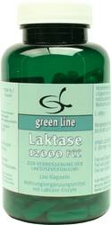 LAKTASE 12.000 FCC Kapseln