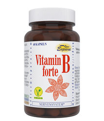 VITAMIN B FORTE Kapseln