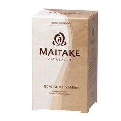 MAITAKE VITALPILZ Bio Terra Mundo Kapseln