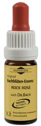 BACHBL�TEN Murnauer Rock Rose Tropfen