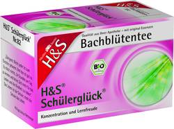 H&S Bachblten Schlerglck-Tee Filterbeutel