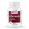 L-CARNOSIN 500 mg Kapseln