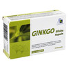 GINKGO 100 mg Kapseln+B1+C+E