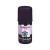 YLANG YLANG l Bio