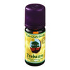 TEEBAUM L TAOASIS