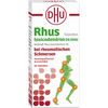 RHUS TOXICODENDRON D 6 Tabl.bei rheumat.Schmerzen