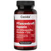 ASHWAGANDHA+RHODIOLA+Q10 Pflanzenkraft Kapseln